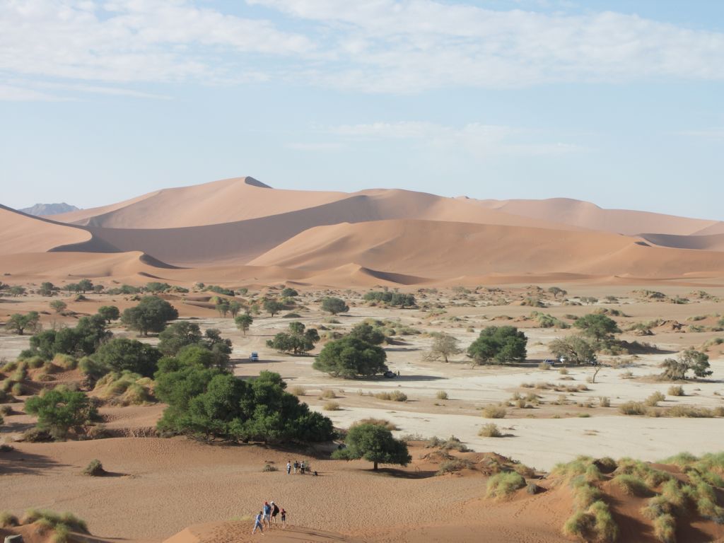namib desert